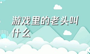 游戏里的老头叫什么（游戏里面的人可以叫什么名字）