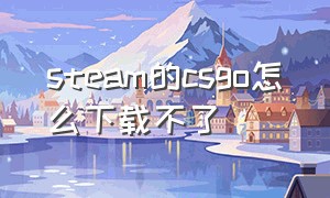 steam的csgo怎么下载不了