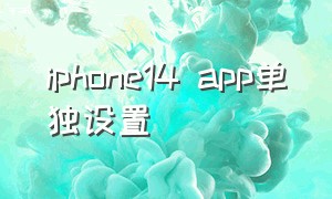 iphone14 app单独设置（苹果14怎么单独隐藏app）