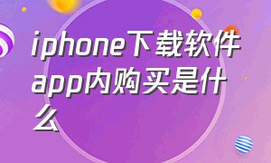 iphone下载软件app内购买是什么