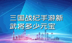 三国战纪手游新武将多少元宝（三国战纪手游24小时升级90000战力）