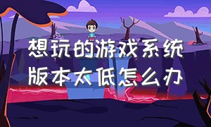 想玩的游戏系统版本太低怎么办