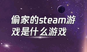 偷家的steam游戏是什么游戏（steam偷东西的游戏）