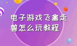 电子游戏飞禽走兽怎么玩教程（飞禽走兽游戏机设置方法教程图解）