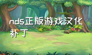 nds正版游戏汉化补丁（nds游戏下载中文版）