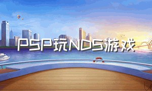 PSP玩NDS游戏（psp唯一能和nds联机游戏）