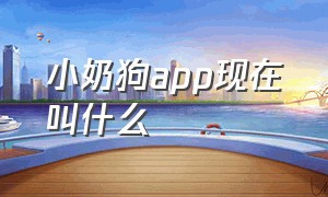 小奶狗app现在叫什么