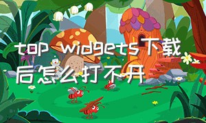 top widgets下载后怎么打不开（top widgets怎么设置）