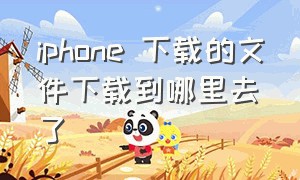 iphone 下载的文件下载到哪里去了