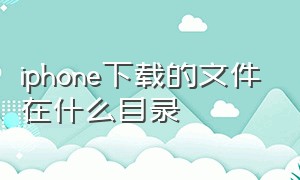 iphone下载的文件在什么目录（iphone下载的文件储存在哪）