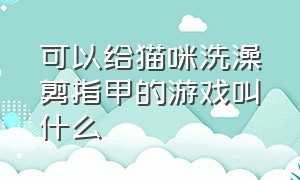 可以给猫咪洗澡剪指甲的游戏叫什么（关于一个猫咪的游戏叫什么）