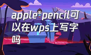 apple pencil可以在wps上写字吗（applepencil怎么在word上直接写字）