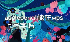 applepencil能在wps上写字吗（applepencil可以在wps上做笔记吗）