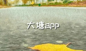 大塘app（大塘定位app）