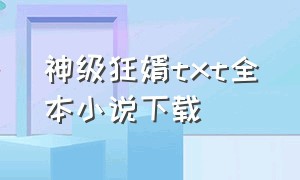 神级狂婿txt全本小说下载