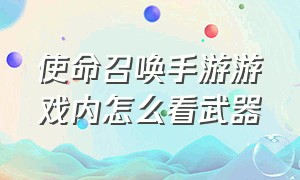 使命召唤手游游戏内怎么看武器（使命召唤手游武器展示功能）