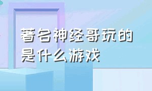 著名神经哥玩的是什么游戏