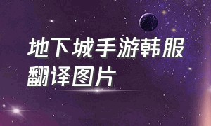 地下城手游韩服翻译图片（地下城手游韩服翻译怎么没了）