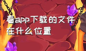 看app下载的文件在什么位置（查看下载的应用）