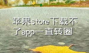 苹果store下载不了app一直转圈