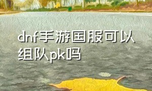 dnf手游国服可以组队pk吗（dnf手游国服正版）