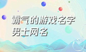 霸气的游戏名字男士网名