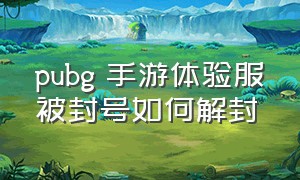 pubg 手游体验服被封号如何解封（绝地求生体验服封号影响正式服吗）