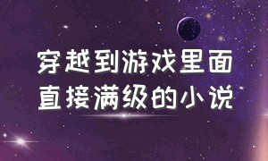 穿越到游戏里面直接满级的小说（自带满级游戏账号穿越异界的小说）