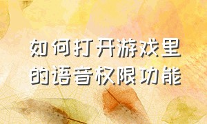 如何打开游戏里的语音权限功能（如何打开游戏里的语音权限功能呢）