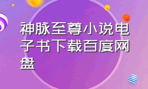 神脉至尊小说电子书下载百度网盘