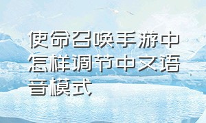 使命召唤手游中怎样调节中文语音模式