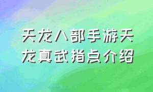 天龙八部手游天龙真武指点介绍（天龙八部手游天龙真武指点选哪个）