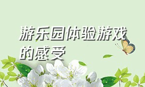 游乐园体验游戏的感受