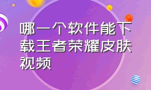 哪一个软件能下载王者荣耀皮肤视频（王者荣耀皮肤展示视频怎么下载）