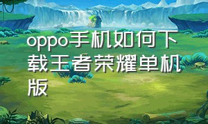 oppo手机如何下载王者荣耀单机版（oppo王者荣耀下载更新包慢怎么办）