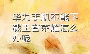 华为手机不能下载王者荣耀怎么办呢（华为手机怎么下载国际版王者荣耀）