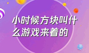 小时候方块叫什么游戏来着的