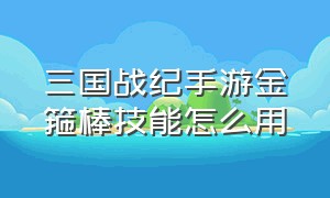 三国战纪手游金箍棒技能怎么用（三国战纪手游金箍棒技能怎么用不了）