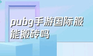 pubg手游国际服能搬砖吗（pubg手游国际服怎么在电脑上下载）