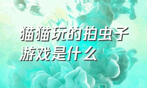 猫猫玩的拍虫子游戏是什么