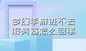 梦幻手游进不去服务器怎么回事