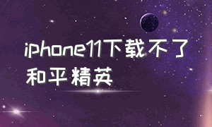 iphone11下载不了和平精英