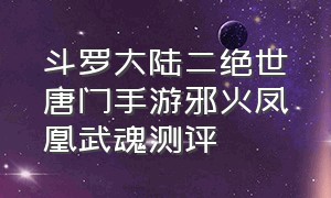 斗罗大陆二绝世唐门手游邪火凤凰武魂测评