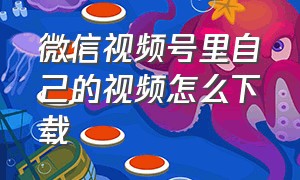 微信视频号里自己的视频怎么下载（微信自己的视频号怎么下载原视频）