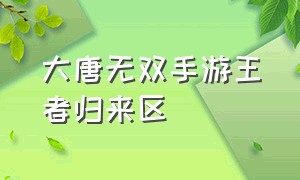 大唐无双手游王者归来区（大唐无双手游回归礼包）