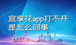 宜享花app打不开是怎么回事