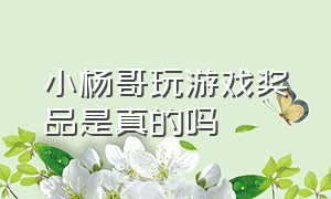 小杨哥玩游戏奖品是真的吗（小杨哥玩游戏完整版回放）