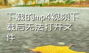 下载的mp4视频下载后无法打开文件