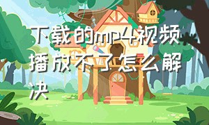 下载的mp4视频播放不了怎么解决