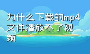 为什么下载的mp4文件播放不了视频